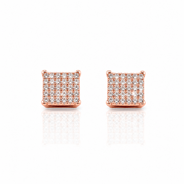 9223525 | Silver Earrings