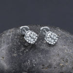 PETTY SILVER MOISSANITE EARRINGS I 993781