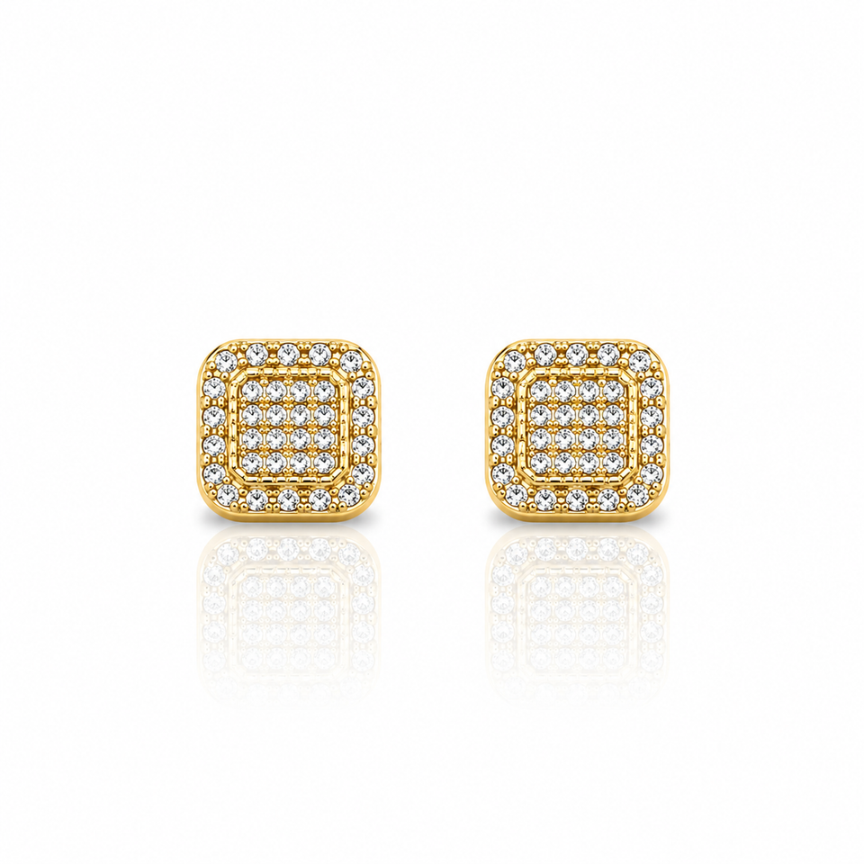 929764 | Silver Gold Earrings