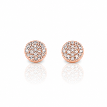 9219605 | Silver Rose Gold Earrings