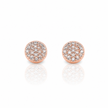 9219605 | Silver Rose Gold Earrings