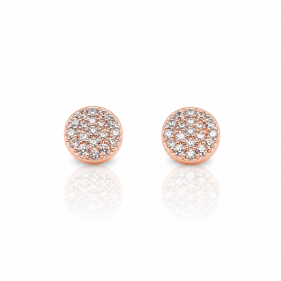 9219605 | Silver Rose Gold Earrings
