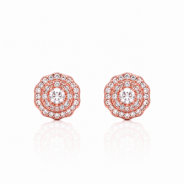9223665 | Silver Rose Gold Earrings