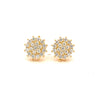 AZALEA 0.93 CTW 925 GOLD MOISSANITE ICED OUT EARRING | 995852