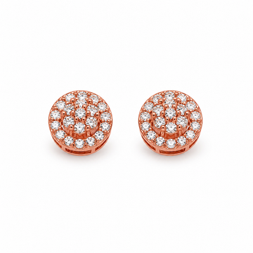 9217455 | 925 Silver Rose Gold Earrings