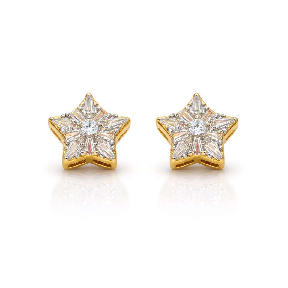 9223492 | 925 Silver Gold Earring
