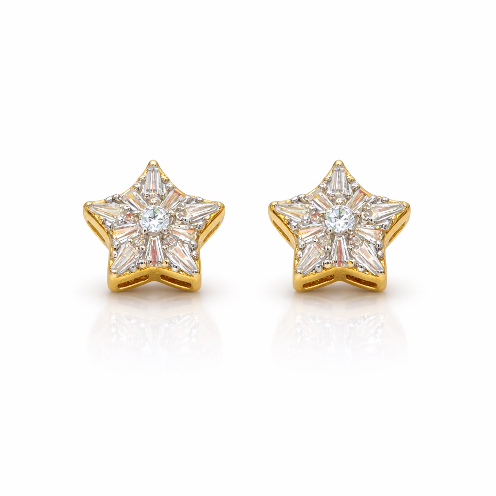 9223492 | 925 Silver Gold Earring