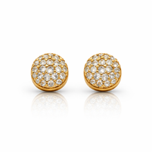 9223862 | 925 Silver Gold Earring