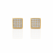 929752 | Silver Gold Earrings