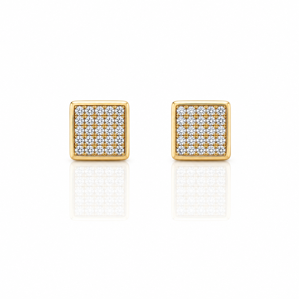 929752 | Silver Gold Earrings