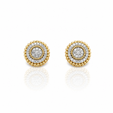 9219612 | Silver Gold Earrings
