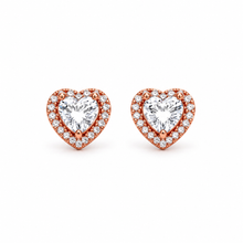9212875 | 925 Silver Two Tone Earrings