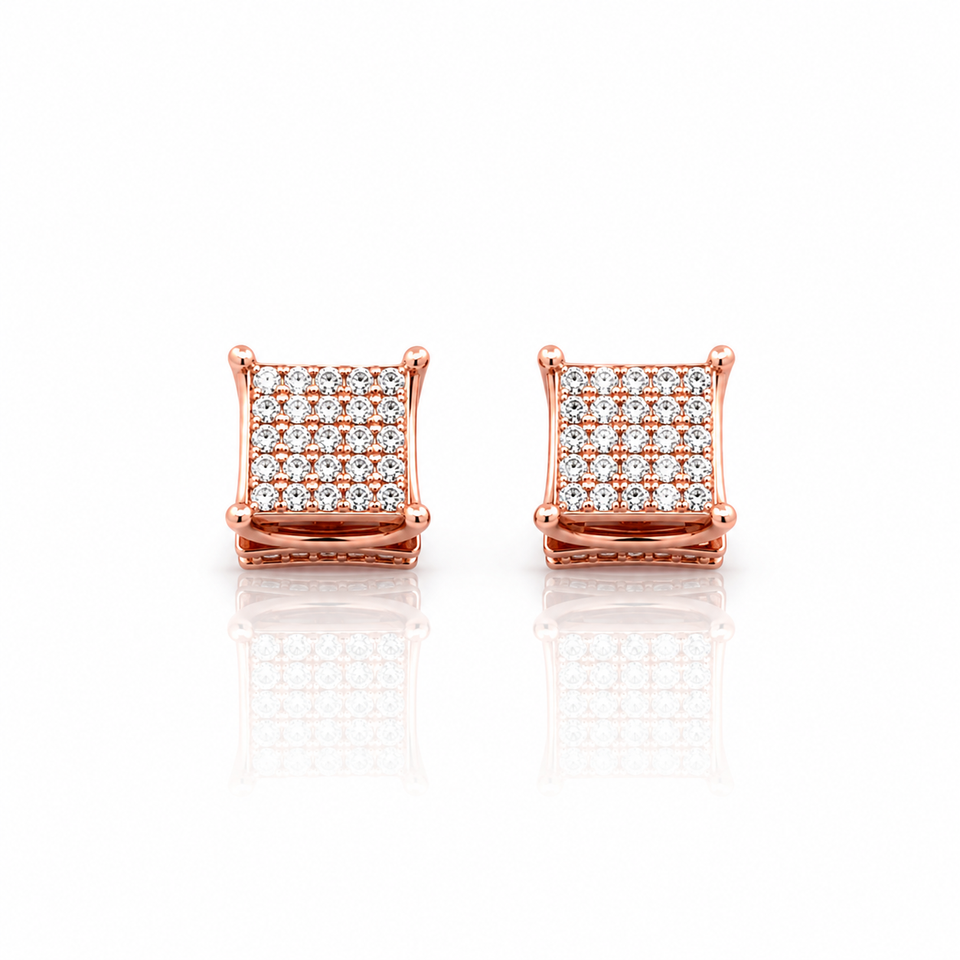 928255 | Silver Rose Gold Earrings