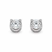 9215771 | 925 Silver Rhodium Earrings