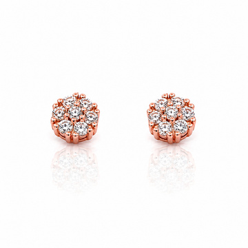 9223615 | Silver Earrings