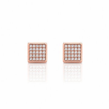 929755 | Silver Rose Gold Earrings