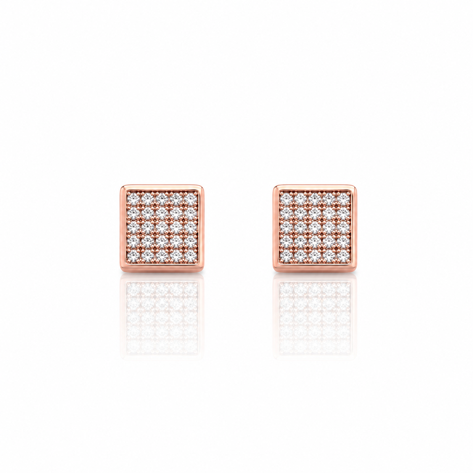 929755 | Silver Rose Gold Earrings