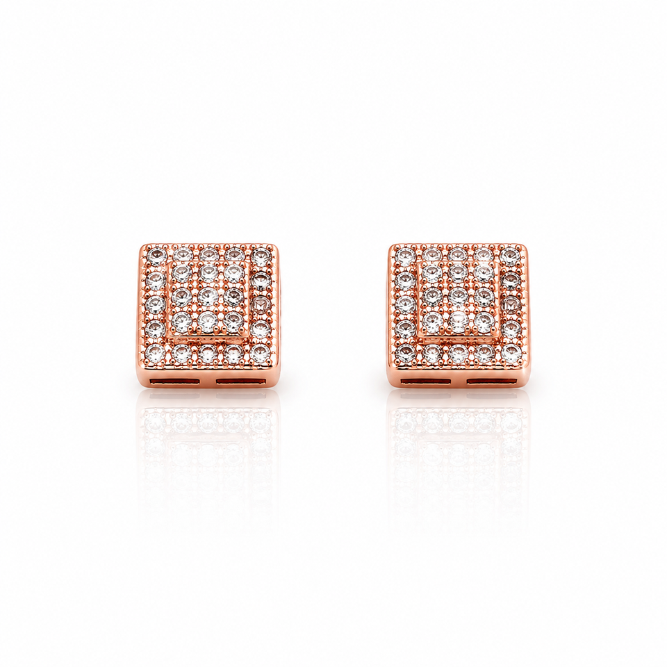 9223535 | Silver Earrings