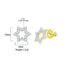 Miraculous star earrings- 925 SILVER EARRINGS I 9211651