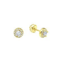 Dart Screw Back earrings | 9212562
