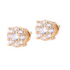 BIBELOT 925 EARRING  | 9210731