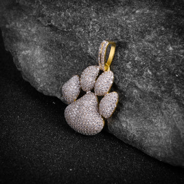 PAW Silver Pendant with CZ Stone-929962